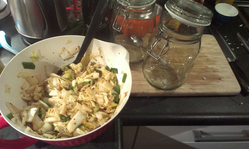 File:Fresh kimchi.jpg